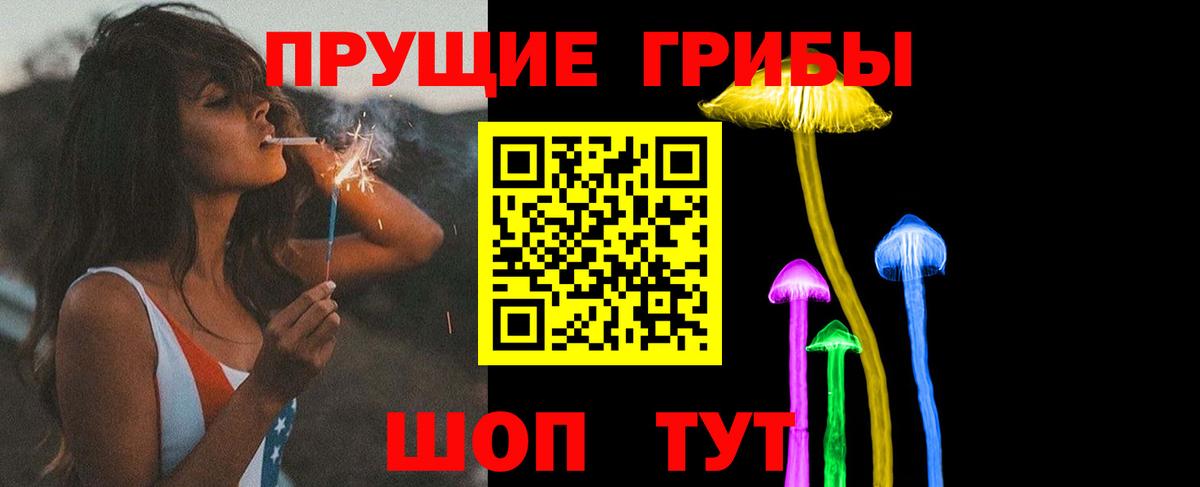 Котовск  Галлюциногенные грибы Magic Shrooms  Вход с VPN 